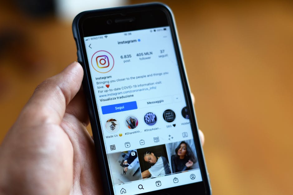 Perfil de Instagram optimizado con foto, biografía y destacados visibles